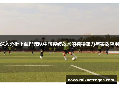 深入分析上海排球队中路突破战术的独特魅力与实战应用
